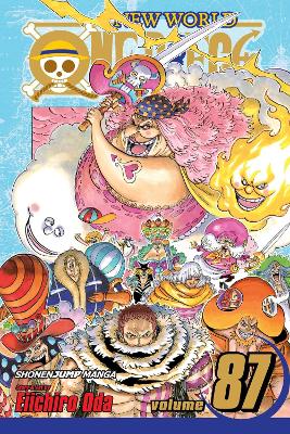 One Piece, Vol. 87 book