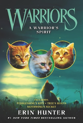 Warriors: A Warrior’s Spirit book