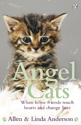 Angel Cats book