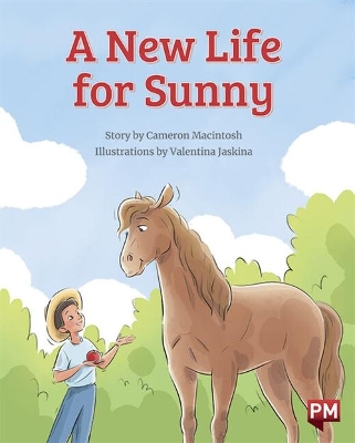 A New Life for Sunny book