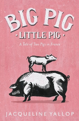 Big Pig, Little Pig book