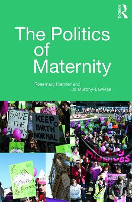 Politics of Maternity book