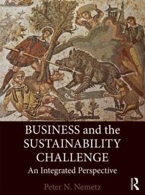 Business and the Sustainability Challenge book