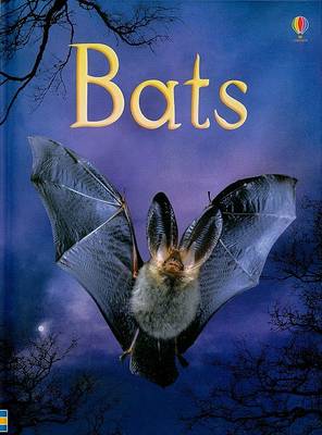 Bats by Megan Cullis