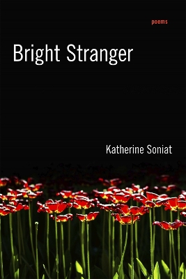 Bright Stranger: Poems book