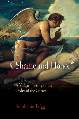 Shame and Honor book