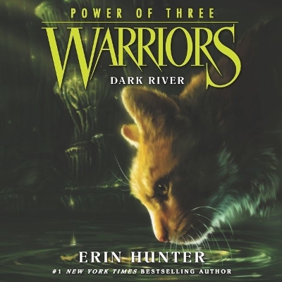 Warriors: Power of Three #2: Dark River by Erin Hunter