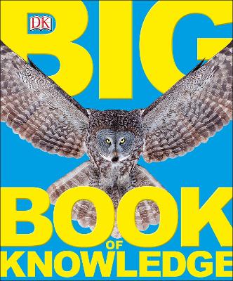 Big Book of Knowledge book