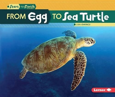 From Egg to Sea Turtle book