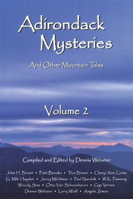 Adirondack Mysteries: And Other Mountain Tales book