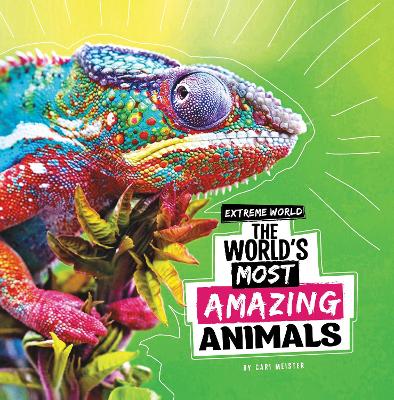 The World's Most Amazing Animals book