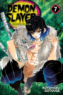 Demon Slayer: Kimetsu no Yaiba, Vol. 7 book