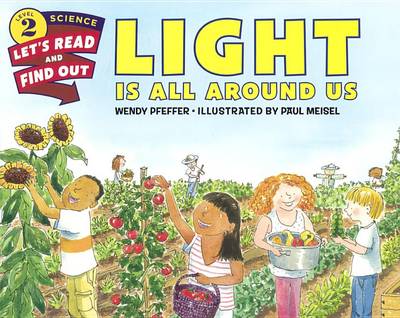 Light Is All Around Us by Wendy Pfeffer