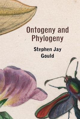 Ontogeny and Phylogeny book