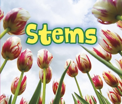 All About Stems book
