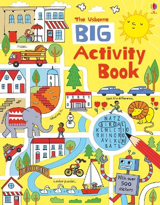 Big Activity Book book