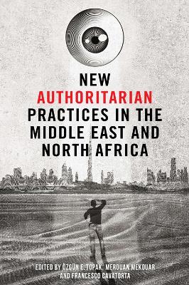 New Authoritarian Practices in the Middle East and North Africa book