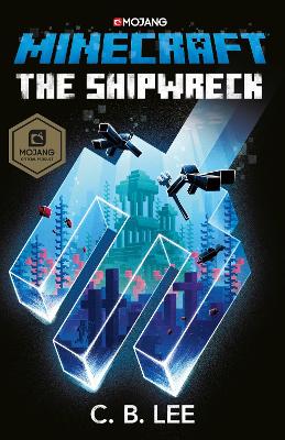 Minecraft: The Shipwreck book