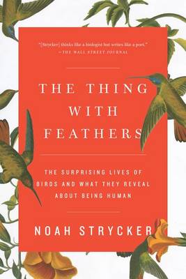 Thing with Feathers book