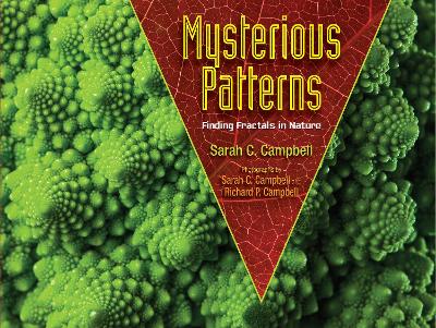 Mysterious Patterns: Finding Fractals in Nature by Sarah C. Campbell