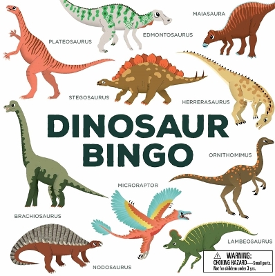 Dinosaur Bingo book