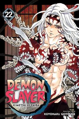Demon Slayer: Kimetsu no Yaiba, Vol. 22 book