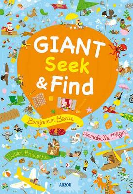 Giant Seek and Find book