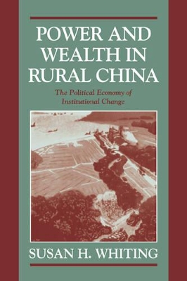 Power and Wealth in Rural China book