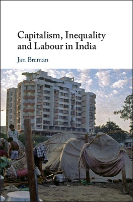 Capitalism, Inequality and Labour in India book