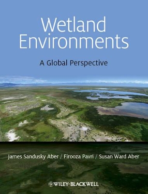 Wetland Environments by James S. Aber