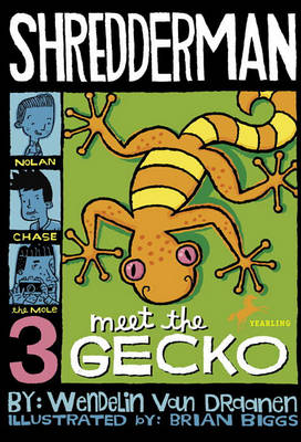 Meet the Gecko book