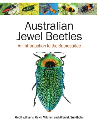 Australian Jewel Beetles: An Introduction to the Buprestidae by Geoff Williams