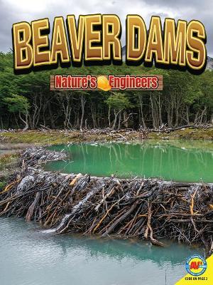 Beaver Dams by Nancy Furstinger