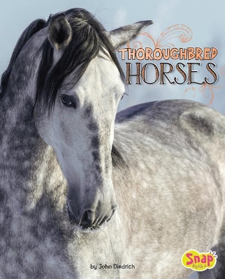 Thoroughbred Horses by John Diedrich