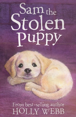 Sam the Stolen Puppy by Holly Webb