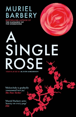 A Single Rose by Muriel Barbery