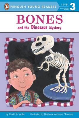 Bones and the Dinosaur Mystery book