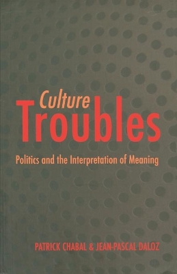 Culture Troubles by Patrick Chabal