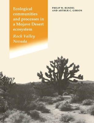 Ecological Communities and Processes in a Mojave Desert Ecosystem book