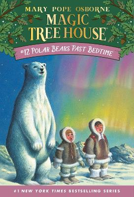Magic Tree House 12 book