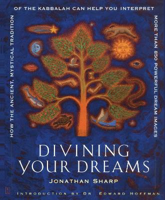 Divining Your Dreams book