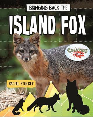 Bringing Back the Island Fox book