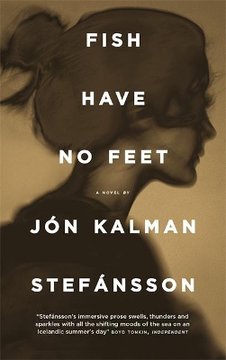 Fish Have No Feet by Jón Kalman Stefánsson