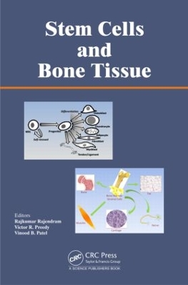 Stem Cells and Bone Tissue by Rajkumar Rajendram