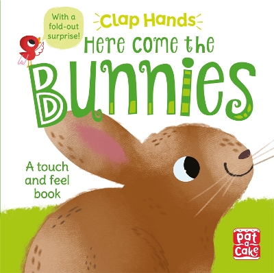 Clap Hands: Here Come the Bunnies: A touch-and-feel board book with a fold-out surprise book