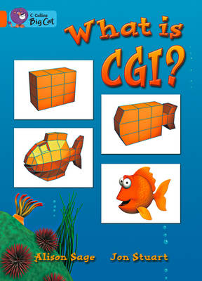 What Is CGI? book