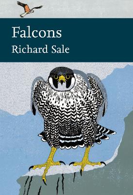 Falcons book