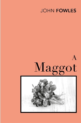 Maggot book