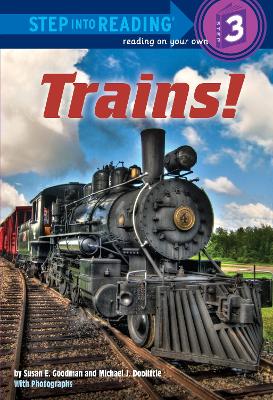 Trains! book