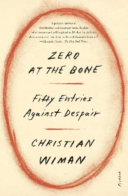 Zero at the Bone: Fifty Entries Against Despair book